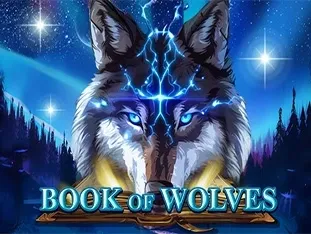 Book Of Wolves screenshot